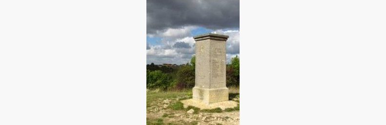 Foto: Dr. Wolfgang Biewald