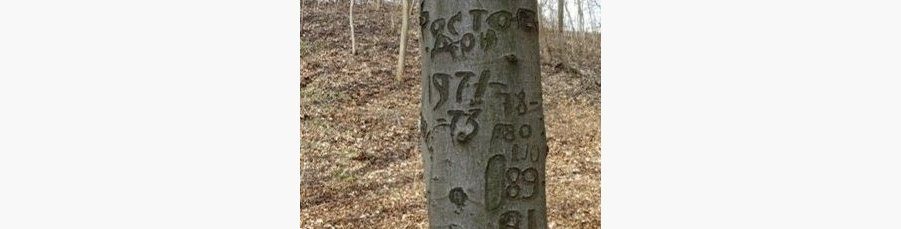 Foto: Dr. Wolfgang Biewald