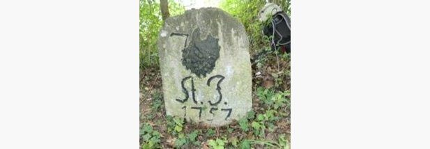 Fotos: Dr. Wolfgang Biewald