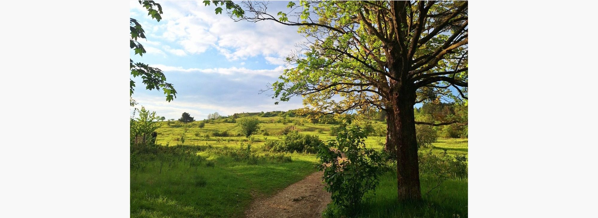 Foto: Juliane Heimann